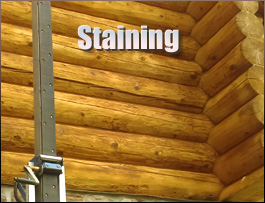  Stafford, Virginia Log Home Staining